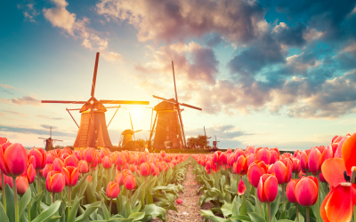 Valentine’s Day and Dutch Culture: We ♥ the Dutch!