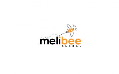 Melibee Global: Culture 101