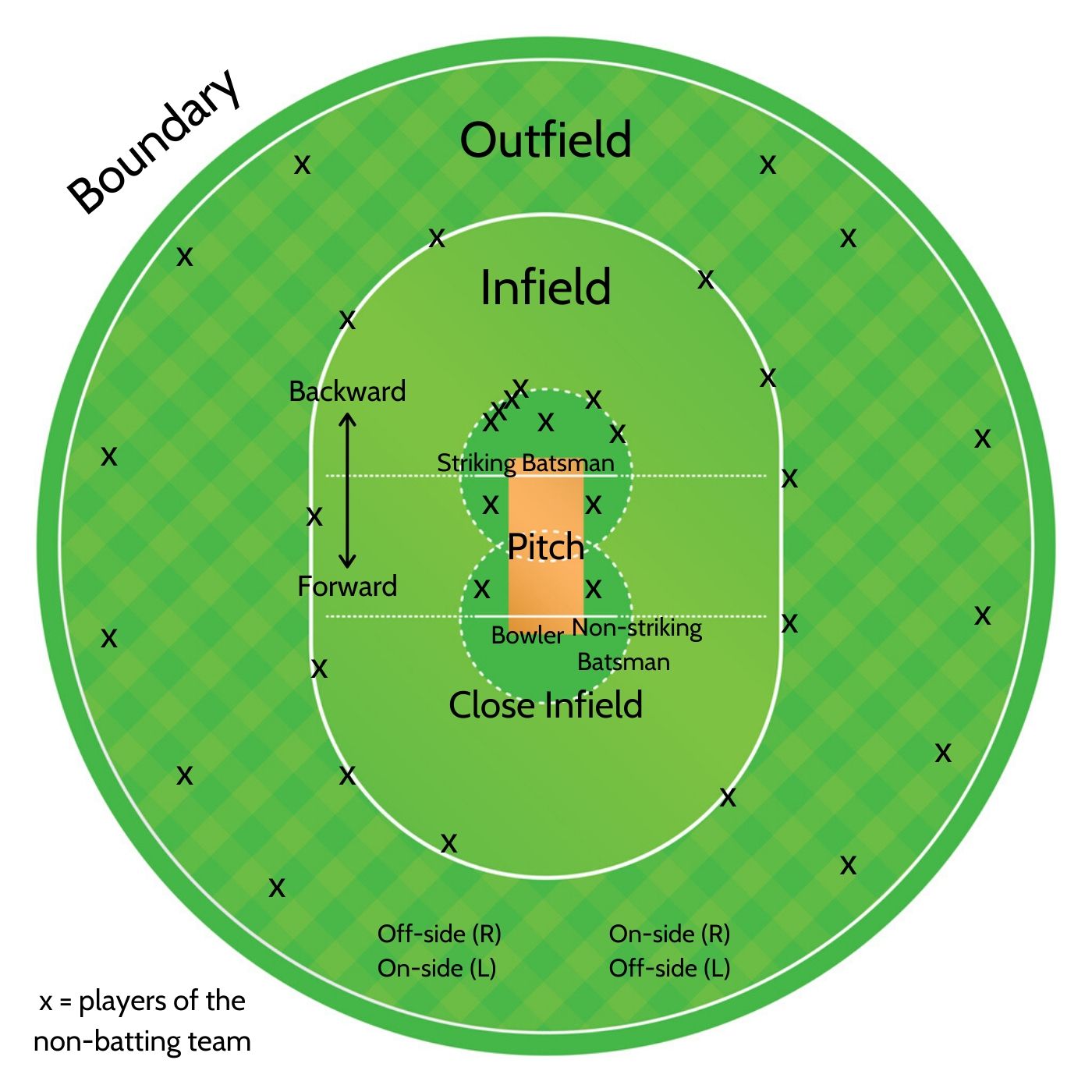 a-beginner-s-guide-to-cricket-cultural-mixology