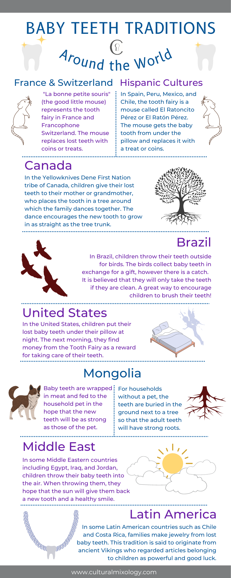 Infographic - Baby Teeth Traditions Around the World