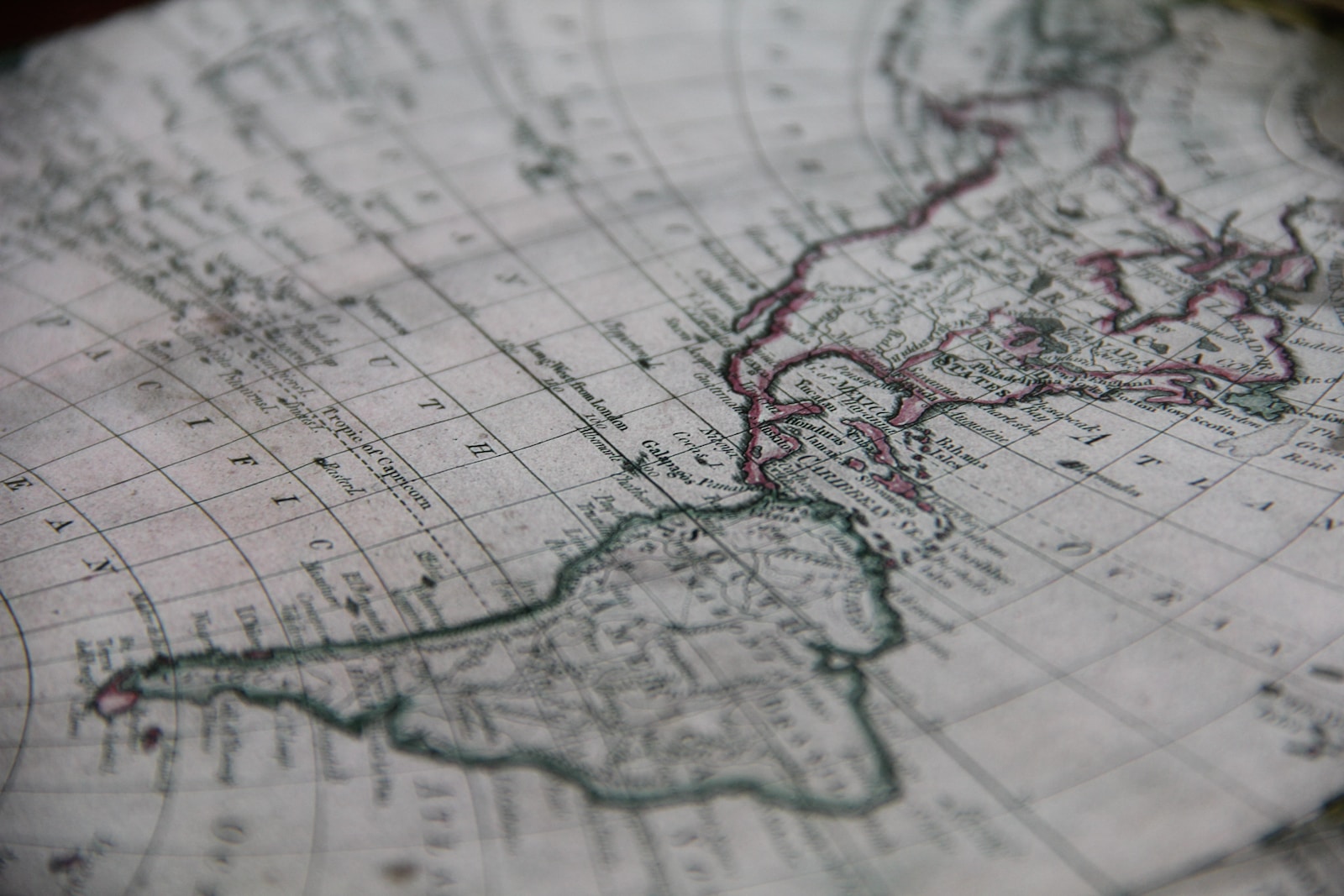 close-up photography of world map