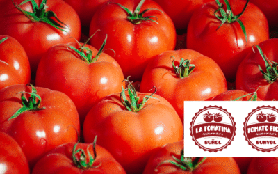 La Tomatina: The History Behind Spain’s Famous Tomato Festival