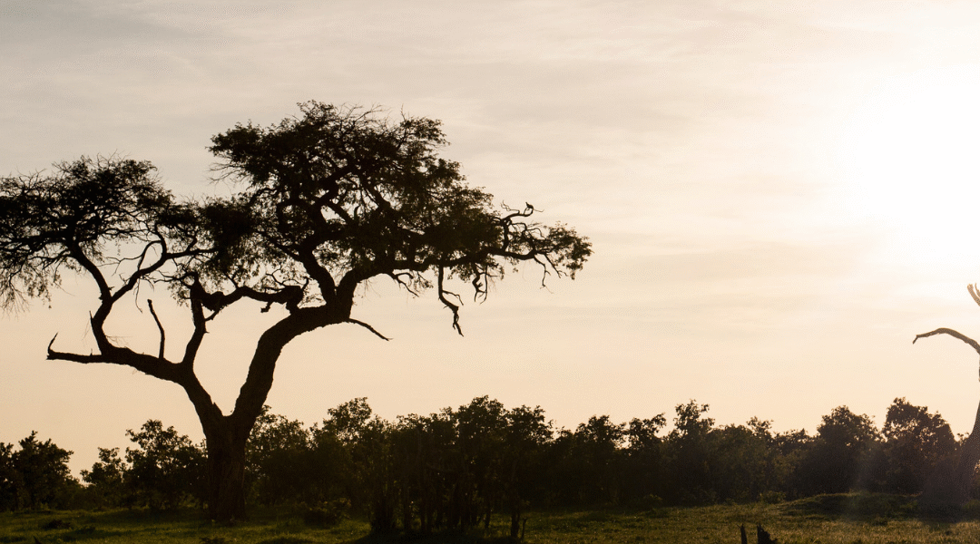 Doing Business in Botswana: Beyond the Diamonds